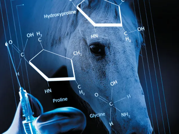 Skin Rejuvenation with Equine Collagen Type I by Andrea Corbo