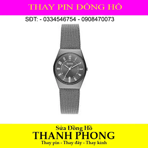 DÂY ĐỒNG HỒ SKAGEN