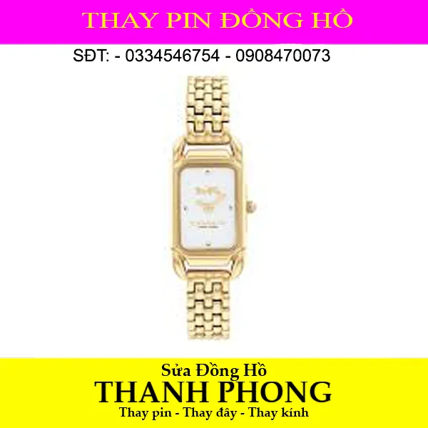 DÂY ĐỒNG HỒ COACH