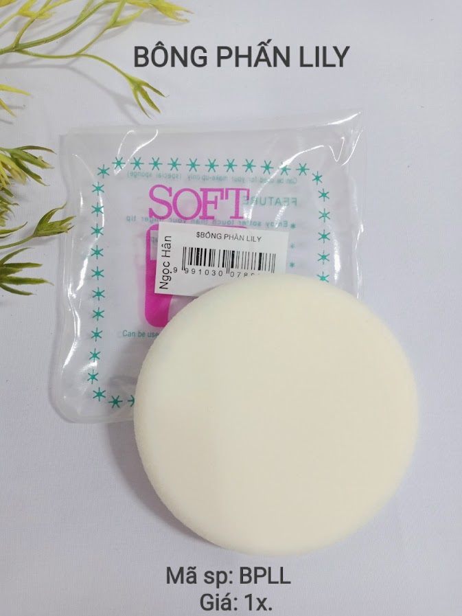 Bông phấn lyly Bông phấn lyly
