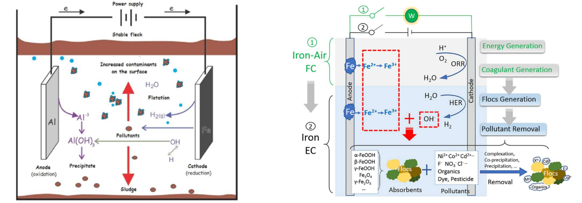 Hình ảnh mô phỏng phương trình phản ứng của điện cực anode và cathode