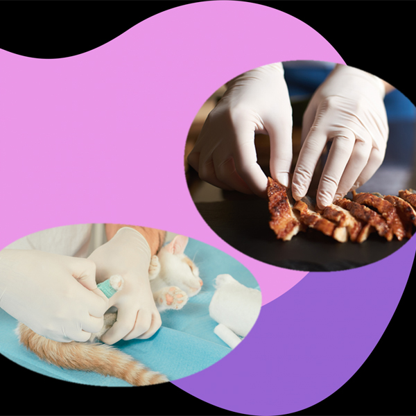 Găng Tay Y Tế Latex Không Bột Superieur linh hoạt