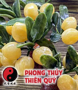 Cây đào đá Ngọc Hoàng Long 18 quả