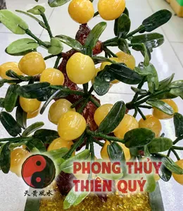 Cây đào đá Ngọc Hoàng Long 28 quả 