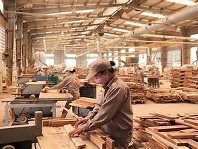 Xuất khẩu gỗ năm 2024: Thích nghi thị trường để đạt mục tiêu 15 tỷ USD