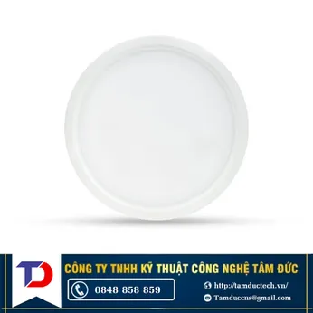 Đèn LED ốp trần 22W LN09 220/22W Rạng Đông