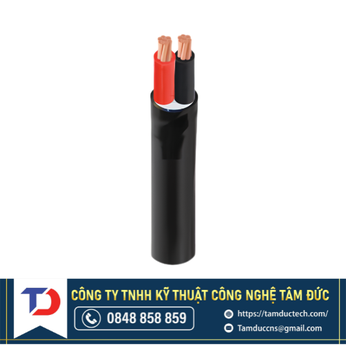 Dây cáp điện Cadivi CVV 2×10 - 300/500V