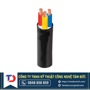 Dây cáp điện Cadivi CVV - 3×10 - 300/500V