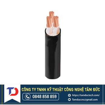 Dây Cáp Điện Cadivi CXV- 3x185 - 0,6/1kV 