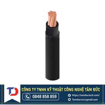 Dây Cáp Điện Cadivi CXV-16 - 0,6/1kV