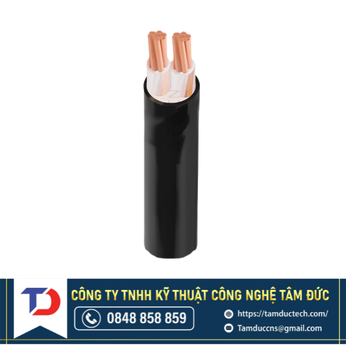 Dây Cáp Điện Cadivi CXV-2x1 - 0,6/1kV