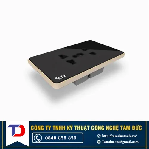 Ổ cắm âm tường cao cấp OCAT04K 2C/16A Rạng Đông