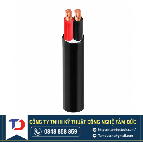 Dây cáp điện Cadivi CVV-2x150 - 0,6/1kV