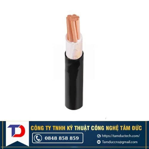 Dây cáp điện Cadivi CXV-70 0.6/1kV