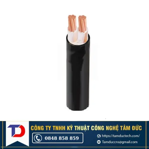 Dây cáp điện Cadivi CXV 2x25 - 0.6/1 kV