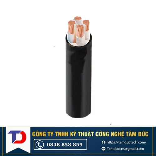 Dây Cáp Điện Cadivi CXV 4x50 0.6/1kV