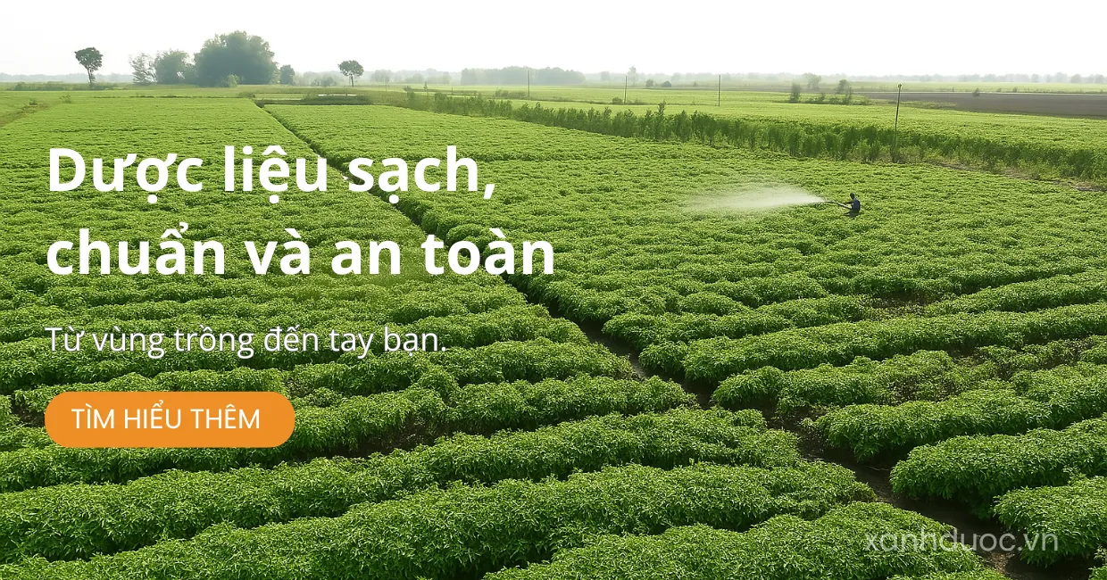 Xanh Dược