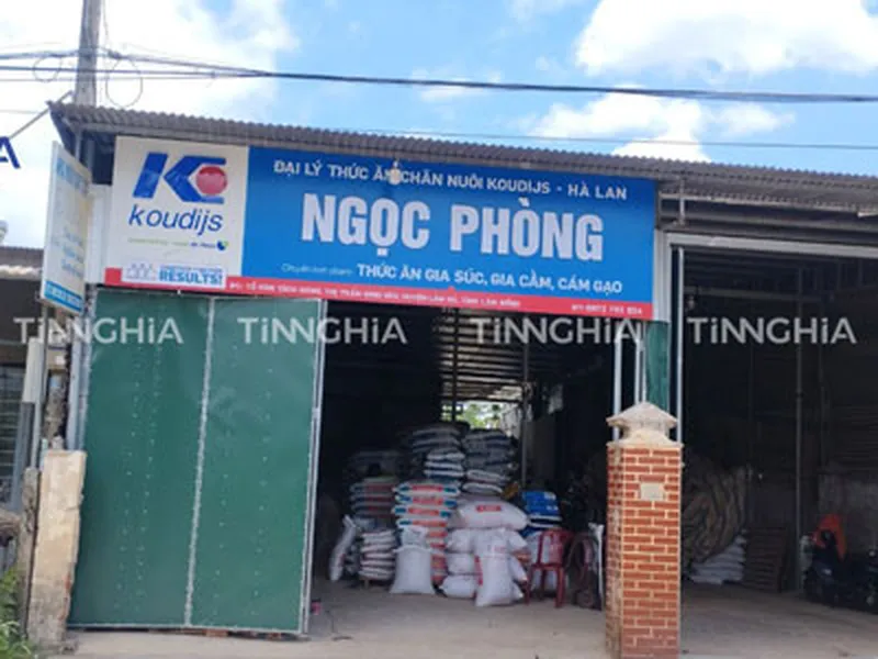 THI CÔNG BẢNG ALU CHỮ MICA NỔI CHO HỆ THỐNG ĐẠI LÝ KOUDIJS