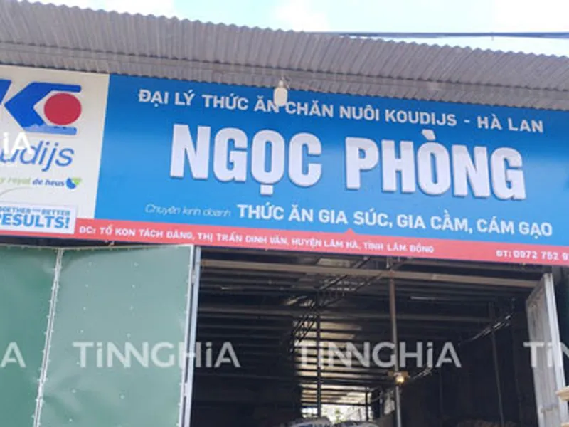 THI CÔNG BẢNG ALU CHỮ MICA NỔI CHO HỆ THỐNG ĐẠI LÝ KOUDIJS