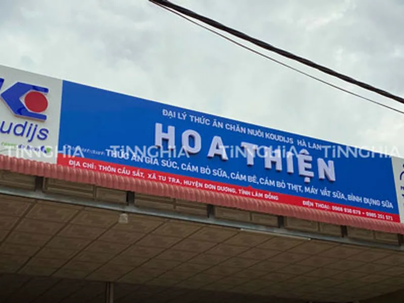 THI CÔNG BẢNG ALU CHỮ MICA NỔI CHO HỆ THỐNG ĐẠI LÝ KOUDIJS