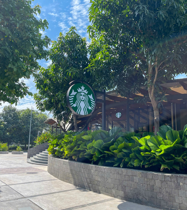 Ví Dụ Thực Tế Về Bảng Hiệu Thành Công