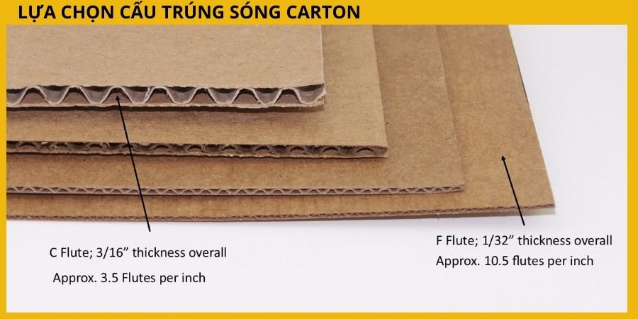 Hộp Giấy Ivory: Bề Mặt Mịn Màng, In Ấn Sắc Nét, Màu Sắc Chân Thực.