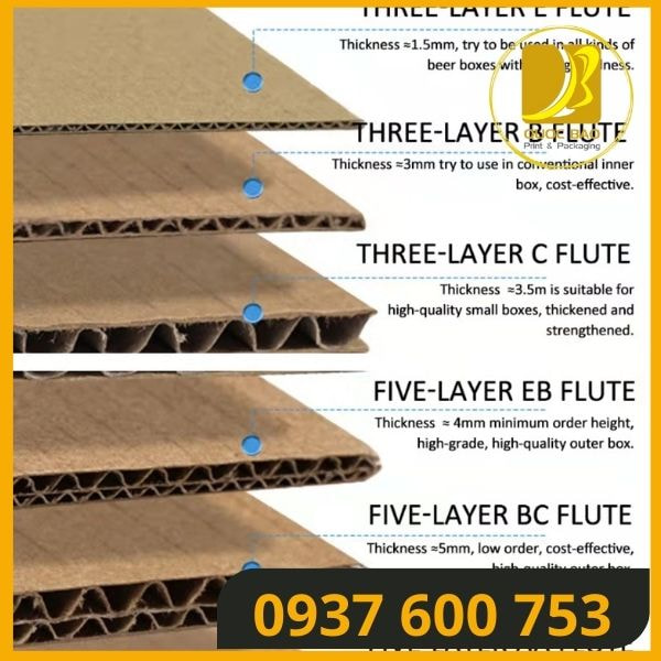 in hộp carton giá rẻ