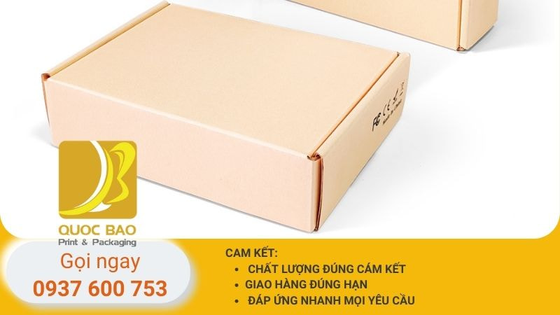 hop-carton-nap-gai