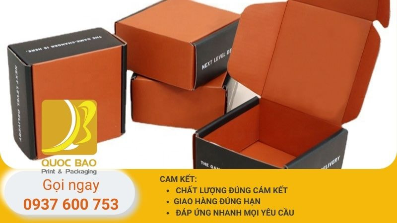 Hộp carton nắp gài