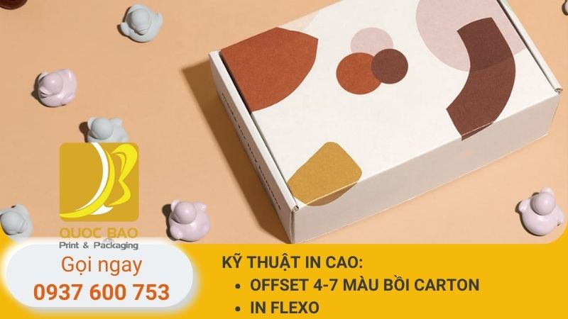 hop-carton-nap-gai