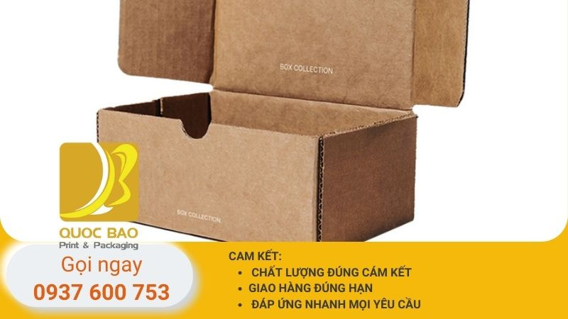 hộp carton nắp gài