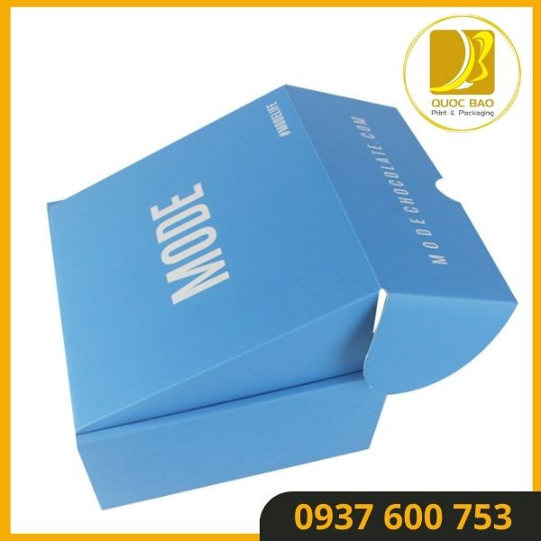 Hộp Carton Nắp Gài