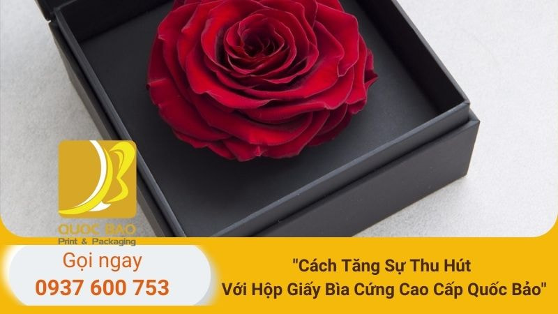 Hộp giấy đựng quà Tết 2025: Tinh hoa ngày xuân, gửi gắm yêu thương