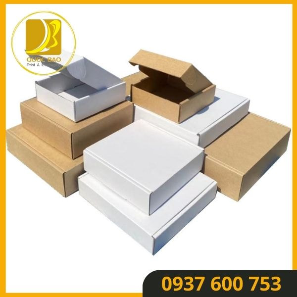 Hộp Carton Nắp Gài Quốc Bảo - Giải Pháp Vận Chuyển An Toàn
