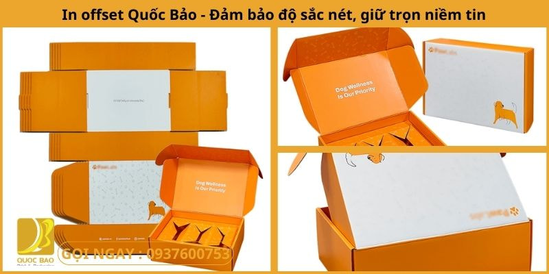 Hộp Carton Đựng Quà Quốc Bảo – Nơi Bảo Vệ Những Món Quà Yêu Thương