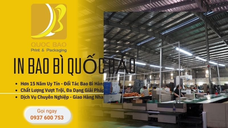 In hộp giấy theo yêu cầu: Đồng hành cùng thương hiệu của bạn trên mọi chặng đường