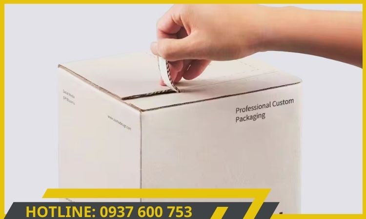 Hộp carton đóng hàng giá rẻ