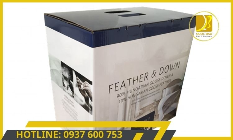 in hộp carton giá rẻ