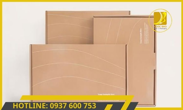 Hộp Carton đóng hàng