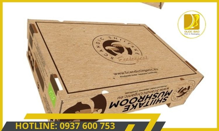 in hộp carton giá rẻ