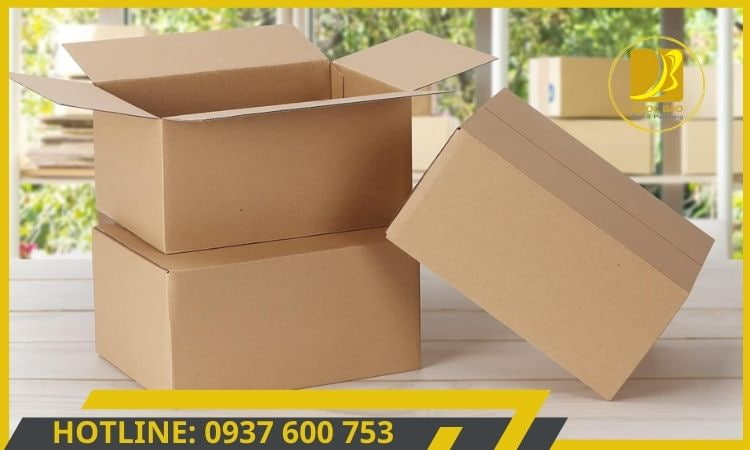 in hộp carton giá rẻ