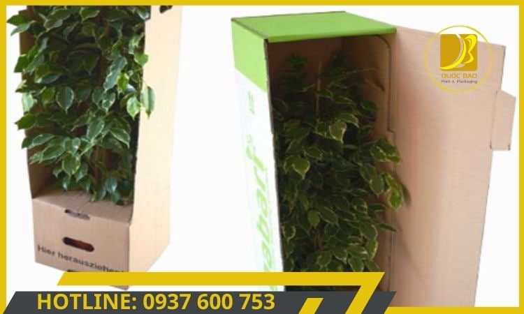 Hộp giấy carton đóng hàng tối ưu không gian lưu trữ, thiết kế tiết kiệm không gian.