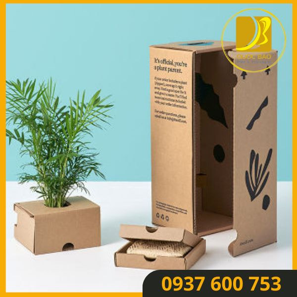 Hộp giấy carton đóng hàng tối ưu không gian lưu trữ, thiết kế tiết kiệm không gian.