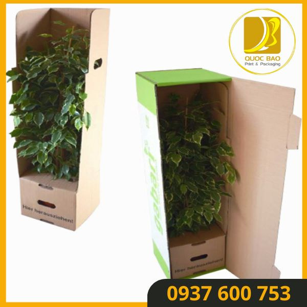 Hộp giấy carton đóng hàng tối ưu không gian lưu trữ, thiết kế tiết kiệm không gian.