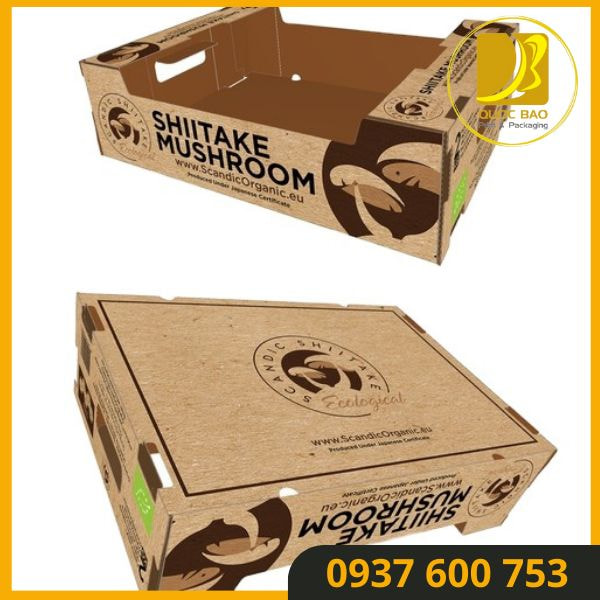 Hộp carton đóng hàng