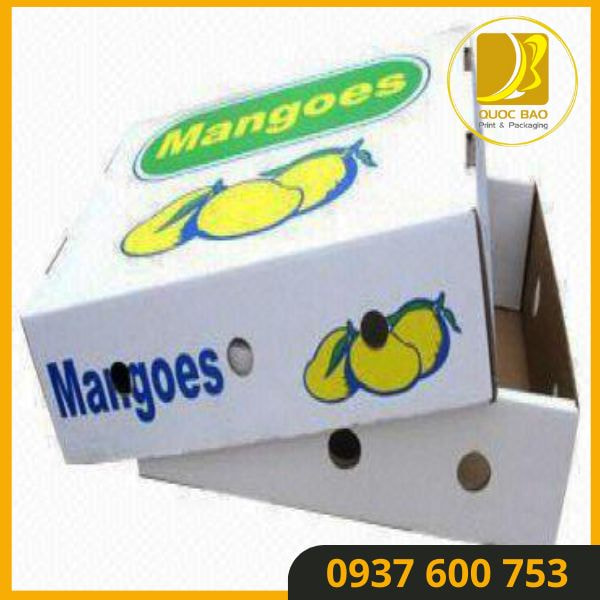 Hộp carton đóng hàng