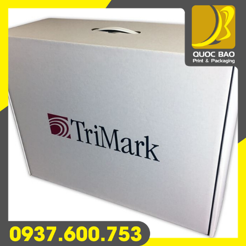 Bao bì hộp carton