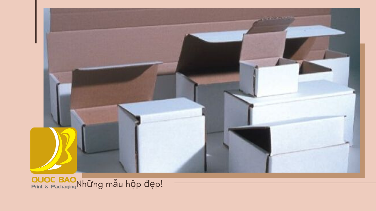 Bao bì sản phẩm