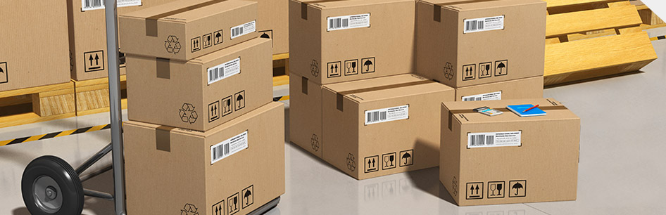 bao bì sản phẩm