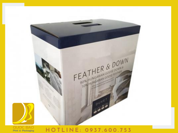 Hộp bìa carton